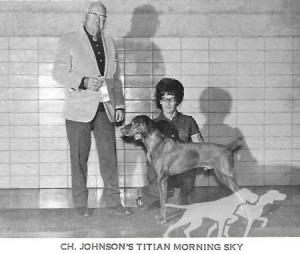 Johnsons Titian Morning Sky