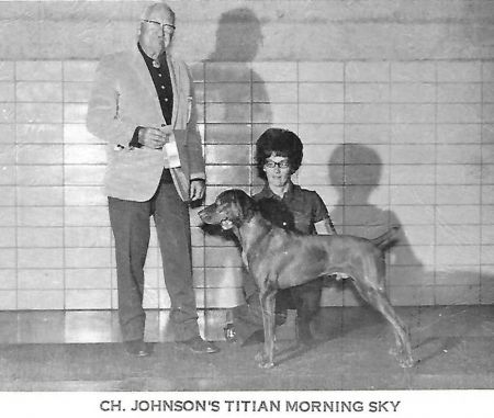 Johnsons Titian Morning Sky