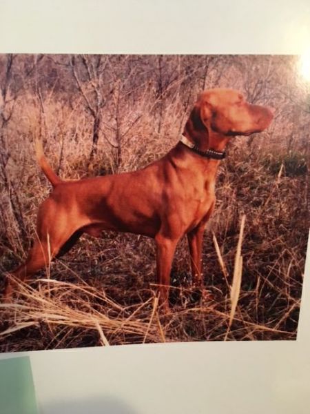 Perfection