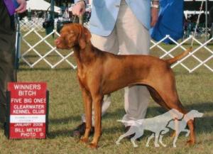 Egri Luna Bella of Edisonia
