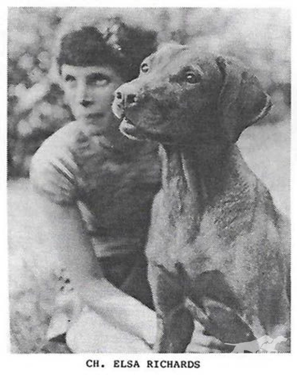 Elsa Richards
