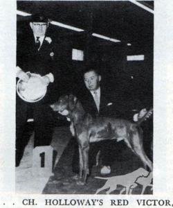 Holloway's Red Victor