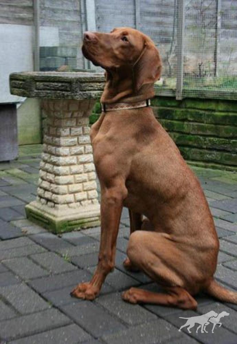 Huntingate Ruel