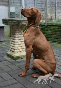 Huntingate Ruel