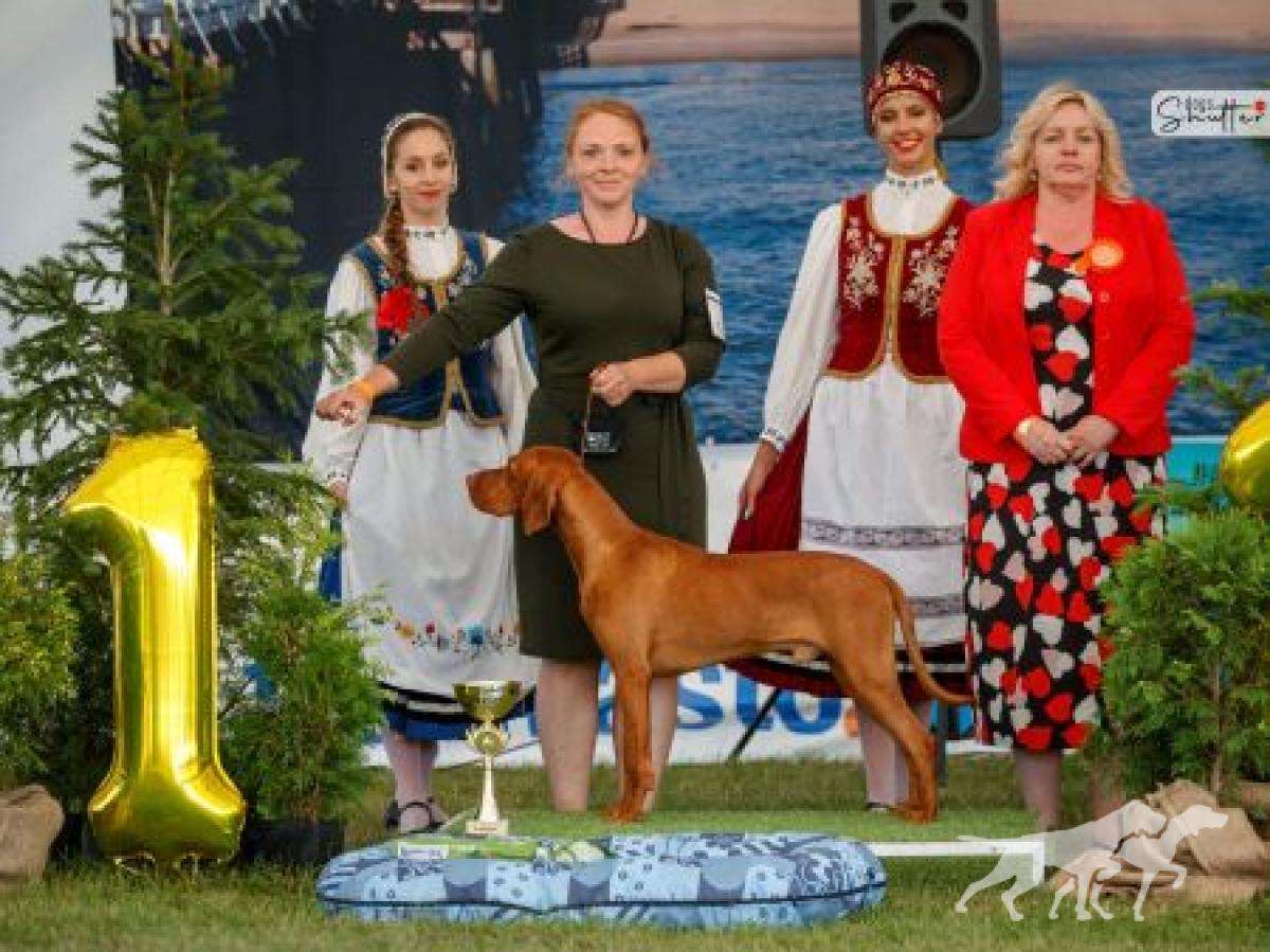 Omen Ruda Szata