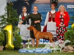 Omen Ruda Szata