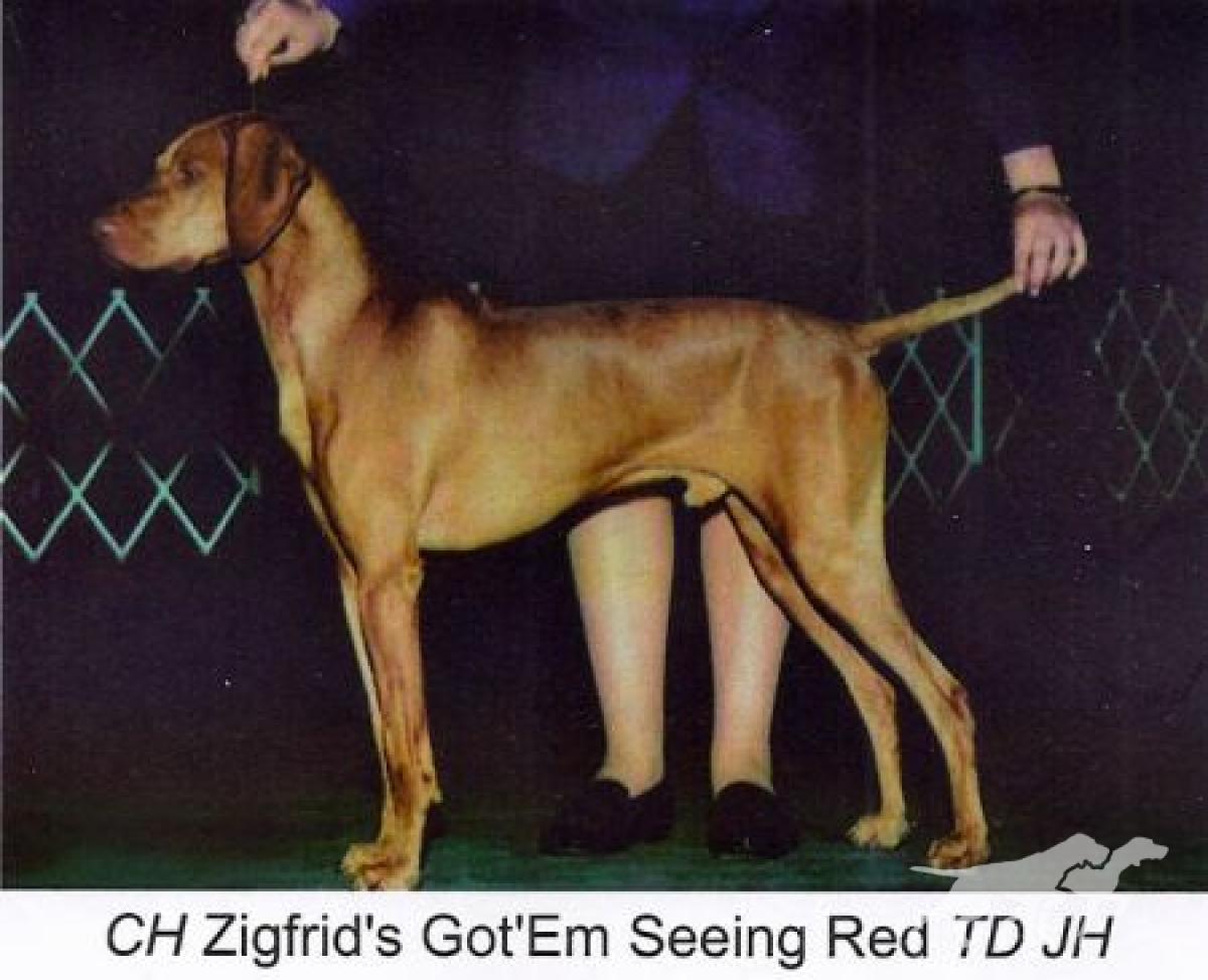Zigfrid's Got'Em Seeing Red