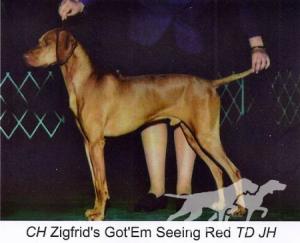 Zigfrid's Got'Em Seeing Red