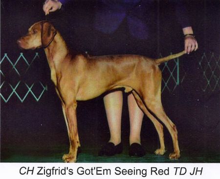 Zigfrid's Got'Em Seeing Red