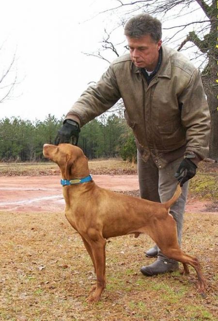 Fieldway's Hard Cash