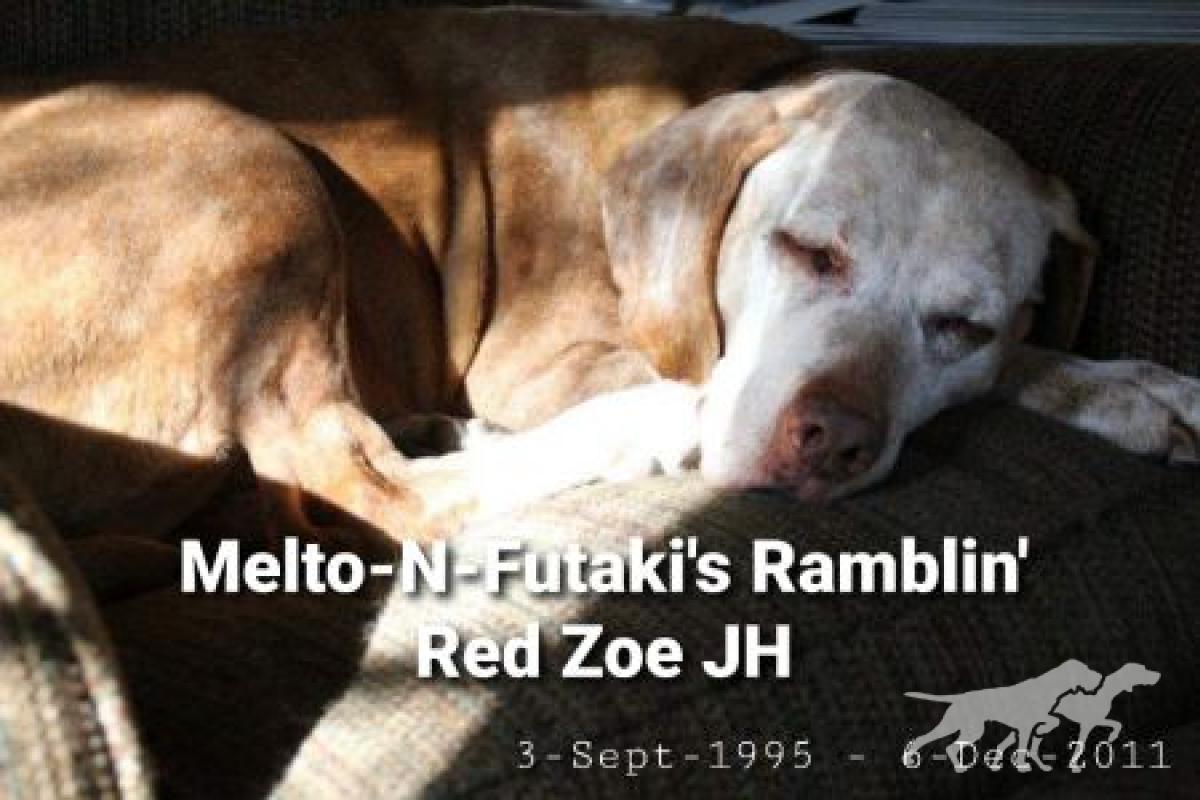 Melto-N-Futaki's Ramblin Red Zoe
