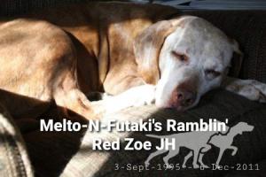 Melto-N-Futaki's Ramblin Red Zoe