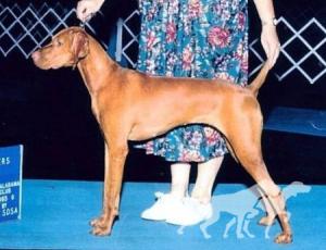 Vizcaya's Rosie O'Grady