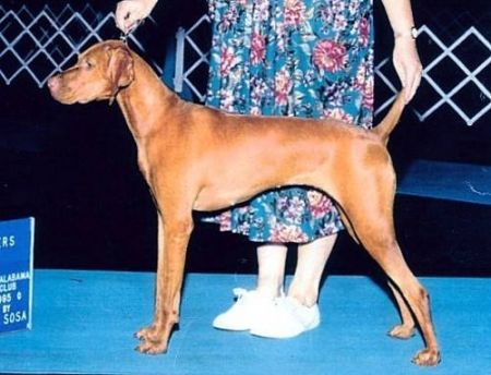 Vizcaya's Rosie O'Grady