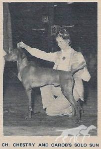 Chestry and Carob's Solo Sun