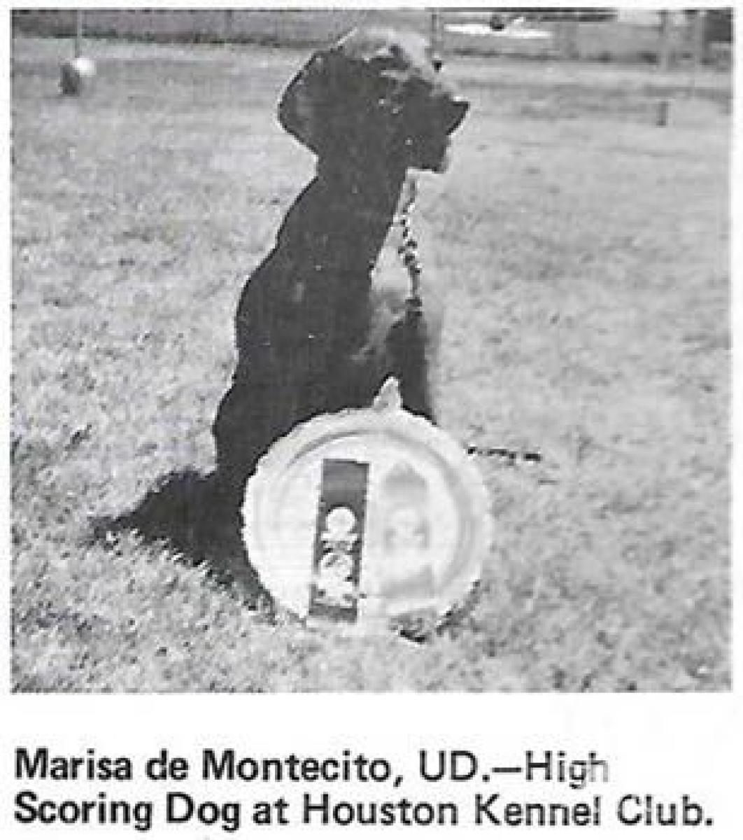 Marisa de Montecito