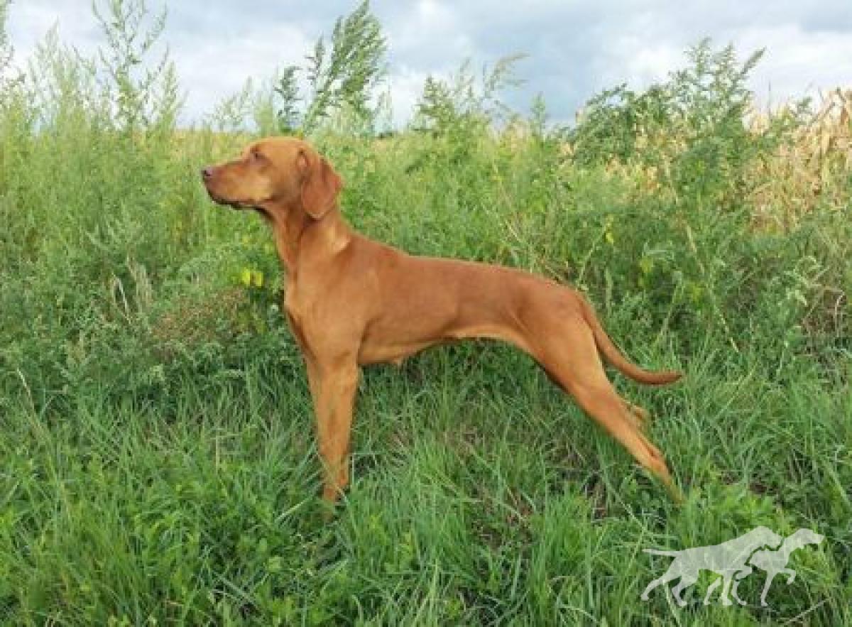Jenny vom Herzen des Wulkatals