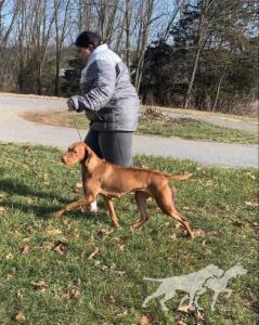 Cameo's Amazon Queen