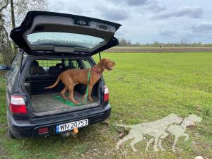 Bryk Subaru Forester Crimson Manor