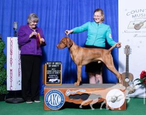 Lorac's Wrecking Ball