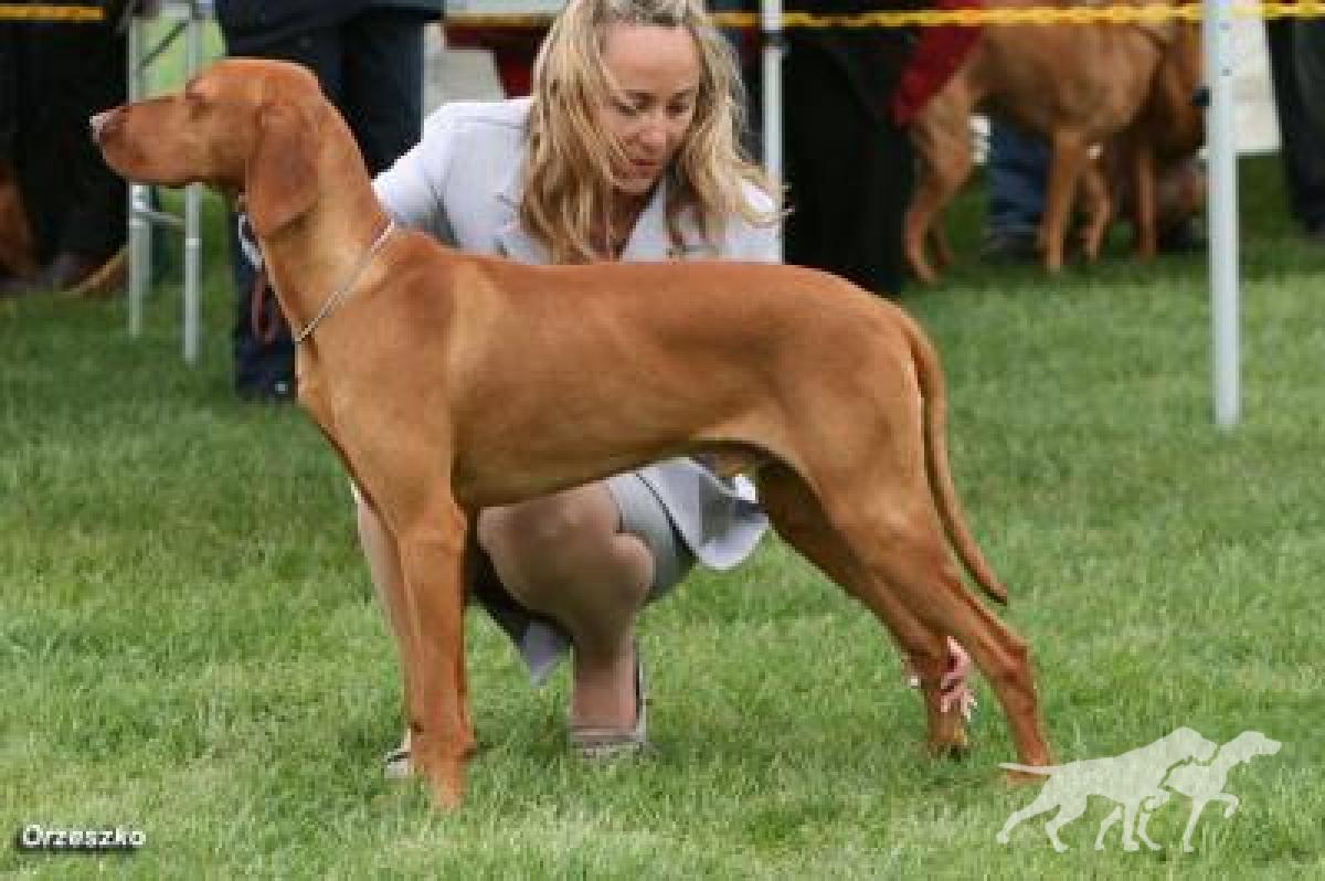 Graebrook Crimson Tide