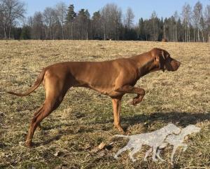 Lovizsla Gro