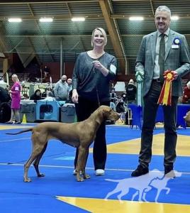 Lovizsla Gro