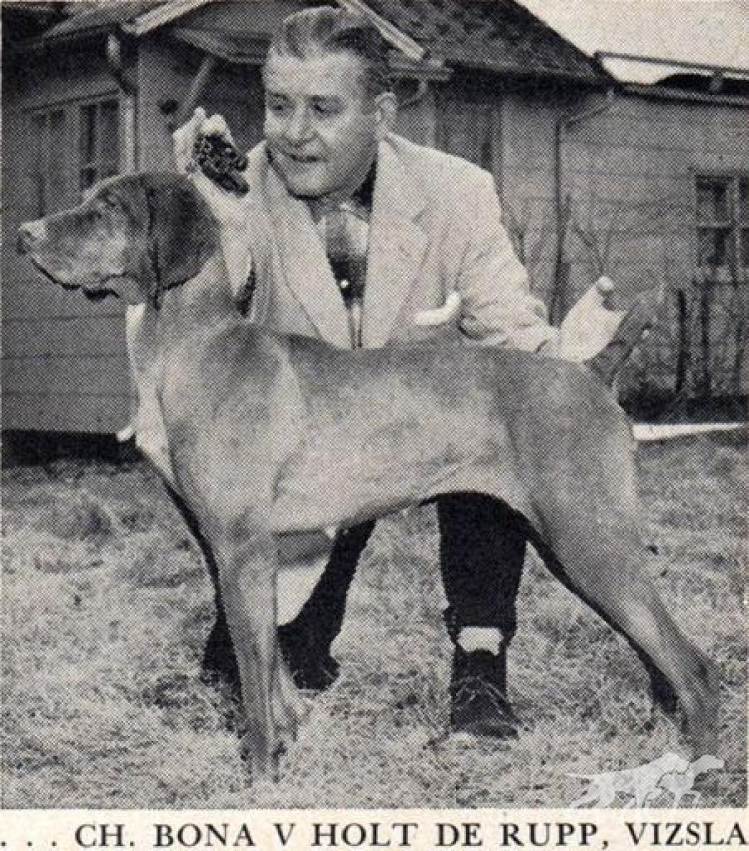 Bona von Holt Derupp / Bona von Holt