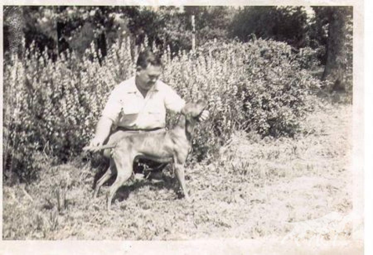 Ali von Schönweide