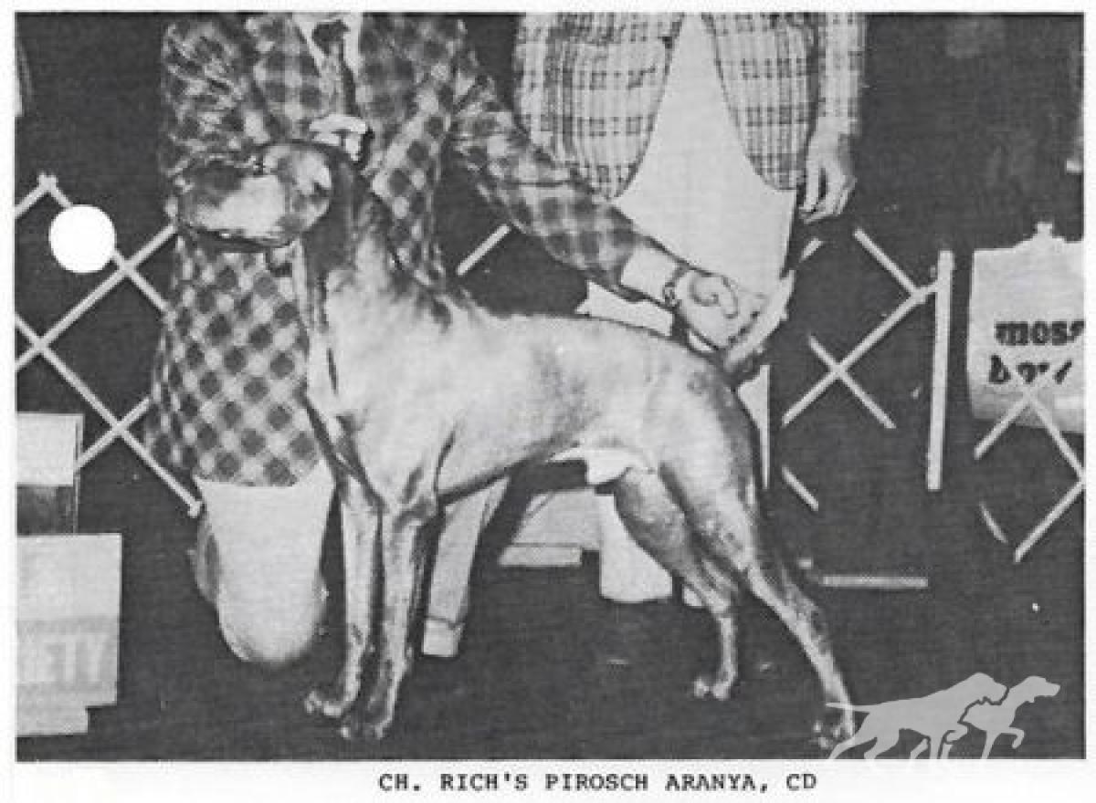 Rich's Pirosch Aranya