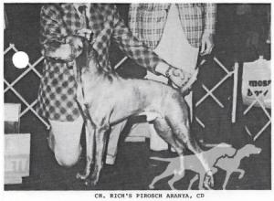 Rich's Pirosch Aranya