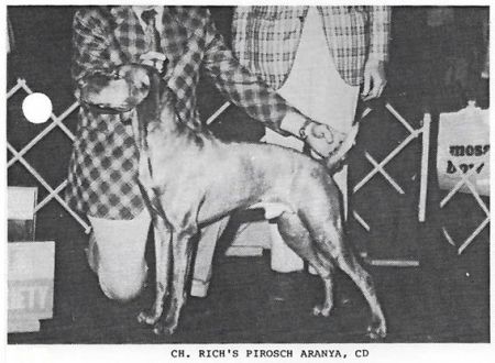 Rich's Pirosch Aranya