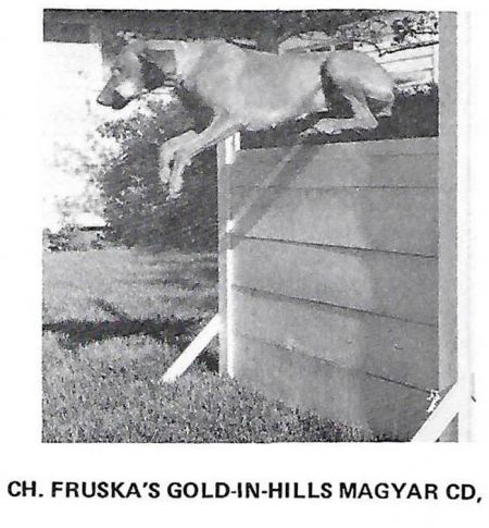 Fruska's Gold-In-Hills Magyar