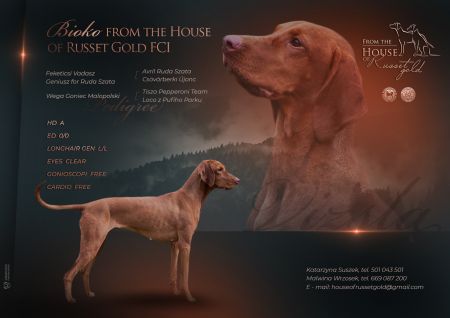Bioko from the House of Russet Gold
