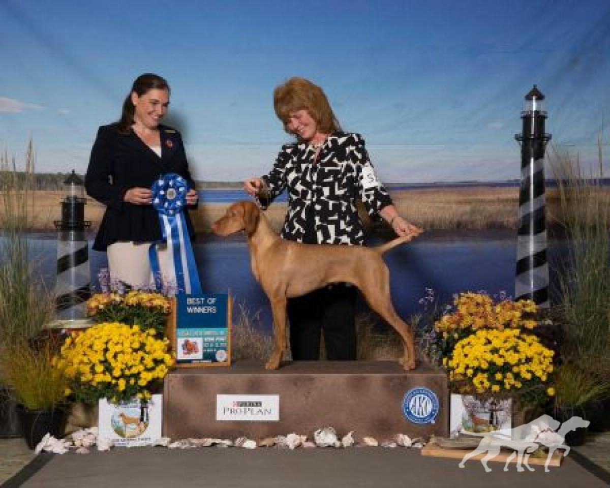 Rizing Sun's I'll Bee Dazzled At Keystone