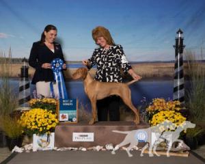 Rizing Sun's I'll Bee Dazzled At Keystone