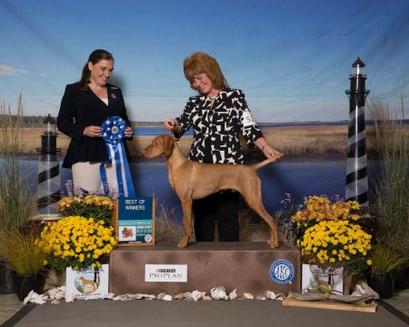 Rizing Sun's I'll Bee Dazzled At Keystone