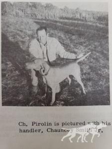 Pirolin