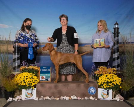 Sienna Pointe's Aslan The Great Bridge Builder *