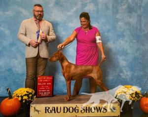 Russet Leather Love For Sale