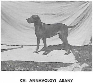 Annavölgyi Arany