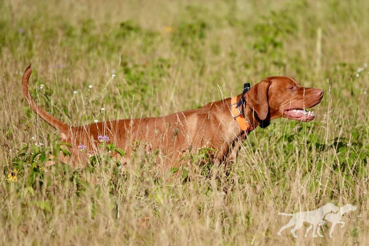 Smoothbore Copper River Riggs