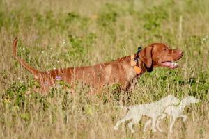 Smoothbore Copper River Riggs