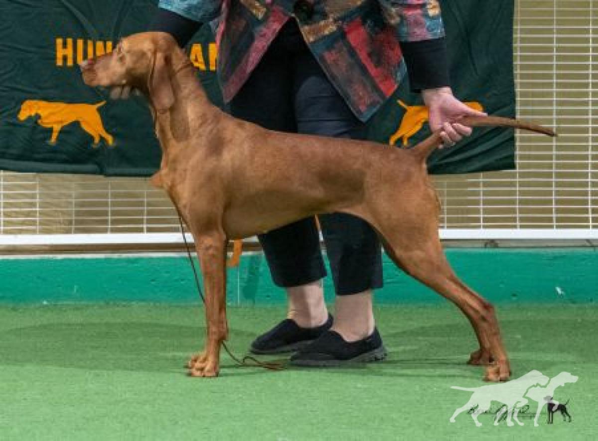 Yzabeau Quantum Quiyanna