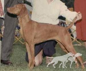 Heelmarks Aint She Command'n