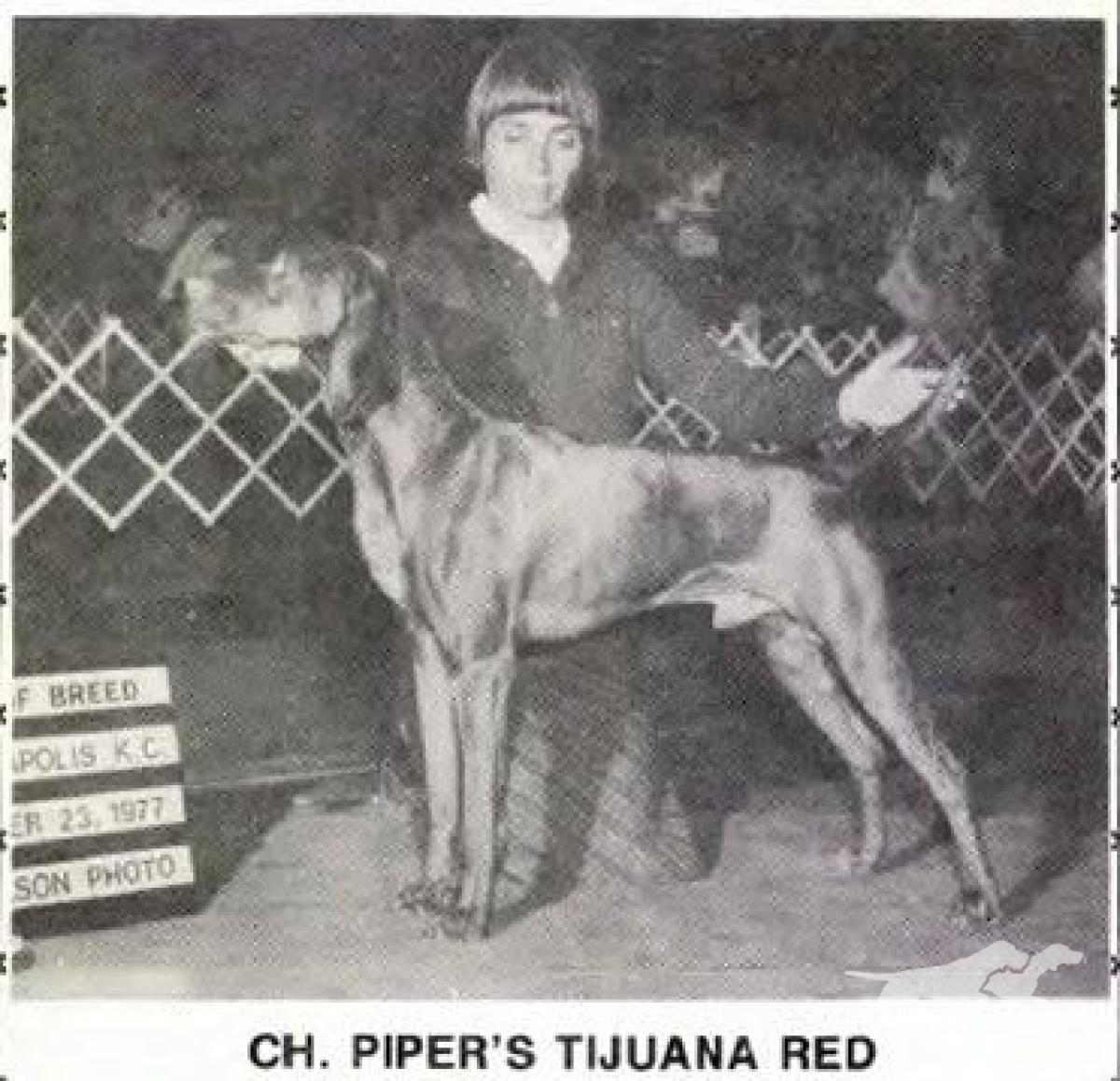 Piper's Tijuana Red