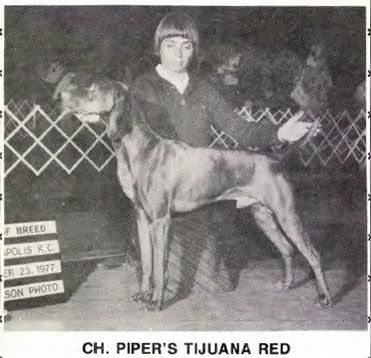 Piper's Tijuana Red