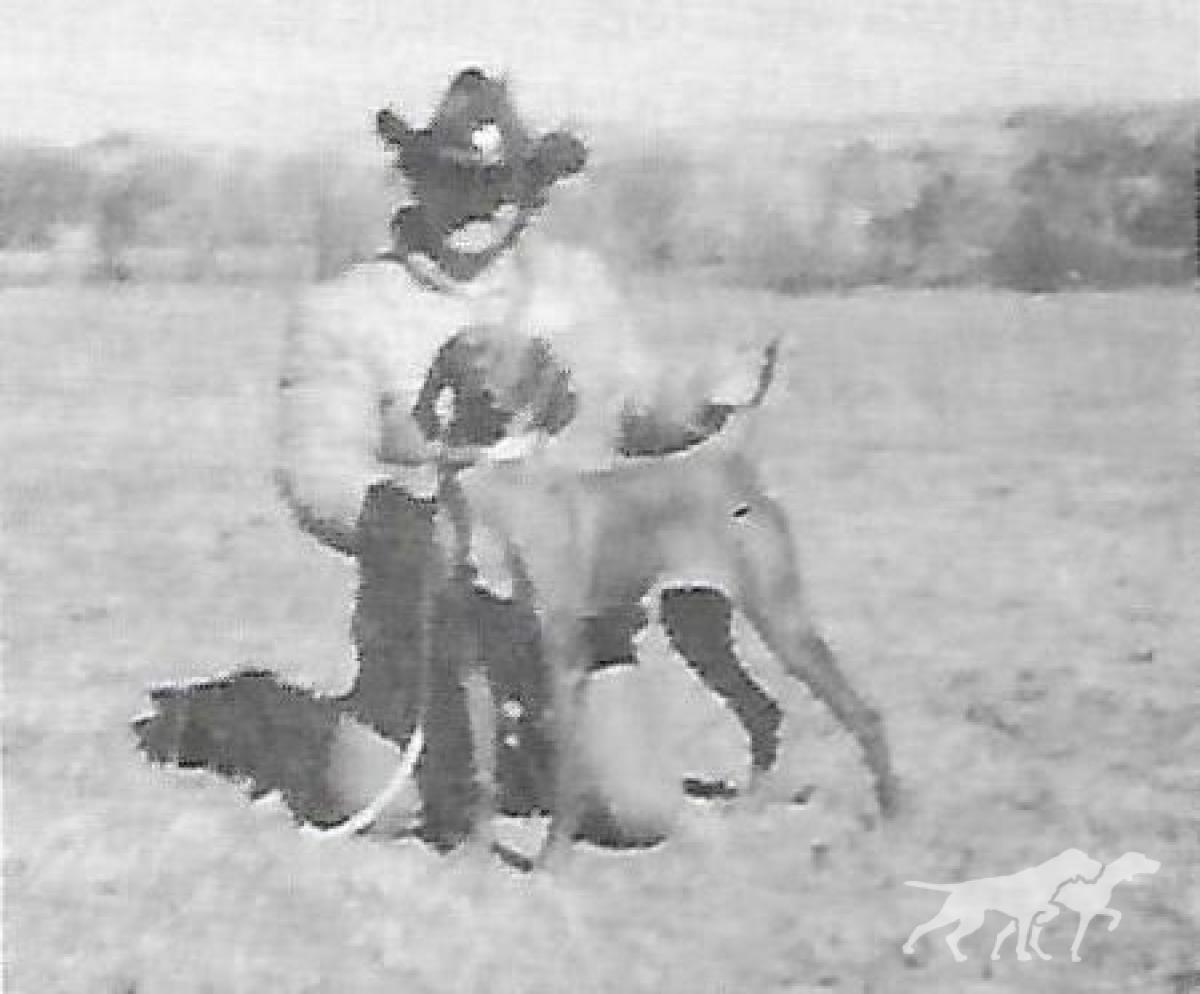 Cline's Olympia Blitz