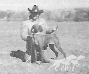 Cline's Olympia Blitz
