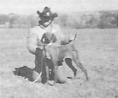 Cline's Olympia Blitz